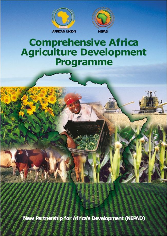 Nigeria ranks 3rd best country in CAADP biennial review process