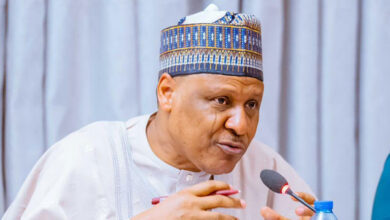 Moderate negative narratives against Nigeria, FG urges content creators