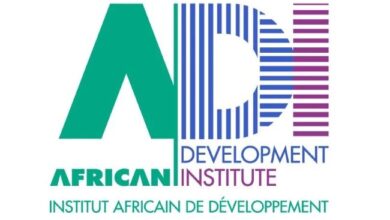 African countries grappling with hurdles impeding sustainable devt - ADI