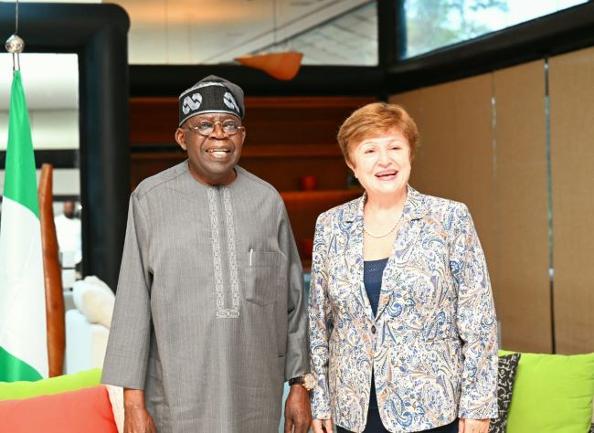 I'll prioritise welfare of poor and most vulnerable, Tinubu tells IMF Boss