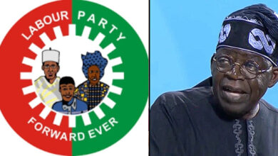 Labour Party debunks partnership deal with Tinubu for 2027