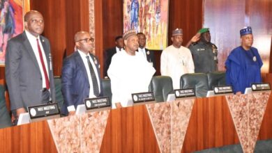 NEC constitutes committee on national electrification