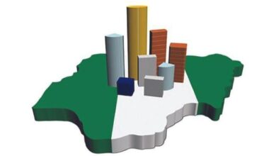 Nigerians soon to reap benefits Tinubu's economic reforms - Uzoka-Anite