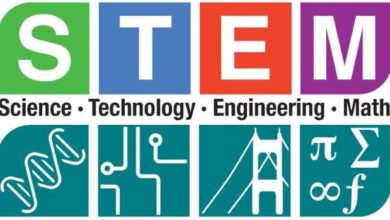 FG set to promote STEM, vocational education