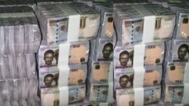FG releases funds for payment of NASU, retirees’ entitlements