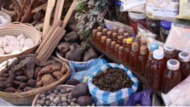 140m Nigerians depend on Traditional Medicine - NNMDA