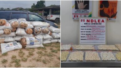 NDLEA confiscates N4bn cocaine haul at Lagos airport 