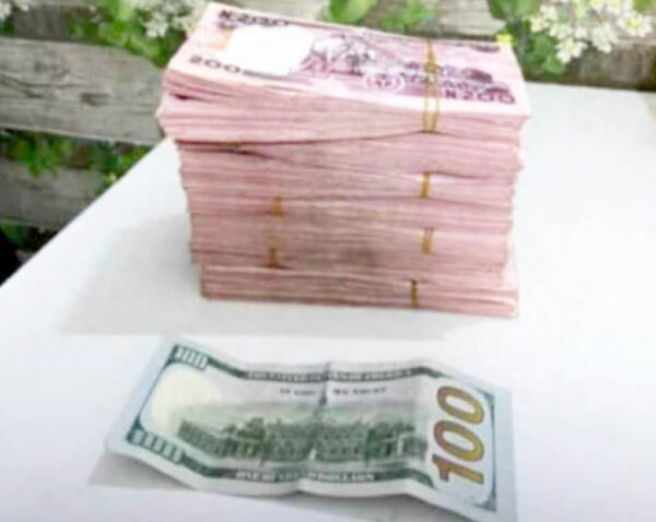 Way out of the many pains of Tinubu’s Naira devaluation