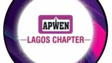 APWEN: Women Engineers in Lagos present 2024 scorecard