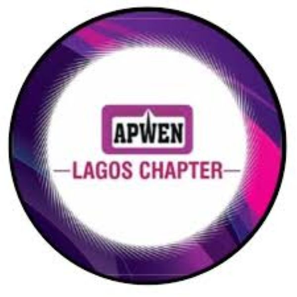 APWEN: Women Engineers in Lagos present 2024 scorecard