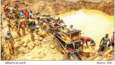 Why FG lifted ban on mining in Zamfara - Minister