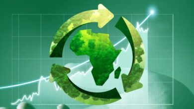 Inclusive Circular Economy opportunity for growth in Africa - Stakeholders