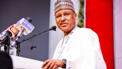 Senate lauds information minister, seeks special budgetary intervention for ministry