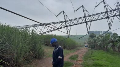 N8bn in budget meant for advocacy against vandalism - Adelabu