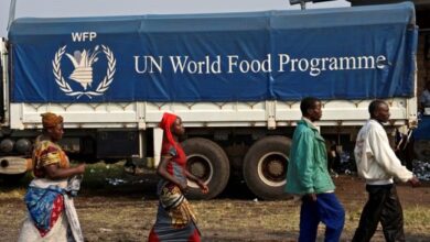 WFP budgets $2.5b to fight hunger, malnutrition in Nigeria