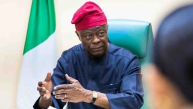 We need diversified economy for sustainable growth - Edun