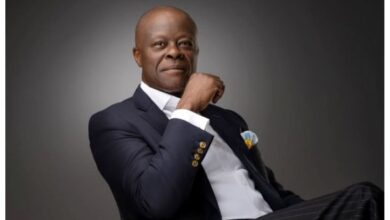 Nigeria economy on the rise with investment opportunities - Edun