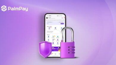 Why Fintechs must prioritise user education, cybersecurity - PalmPay