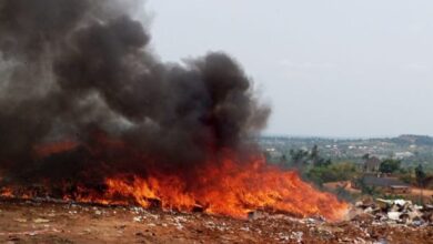 We've destroyed fake drugs worth ₦100trn - NAFDAC DG