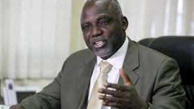 How energy sector can boost Nigeria economy - Barth Nnaji