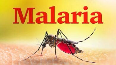 How Reducing Malaria Could Unlock Billions for Nigeria’s Economy - FG