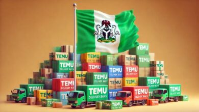 Temu Faces Storm of Nigerian Complaints Amid E-Commerce Gamble