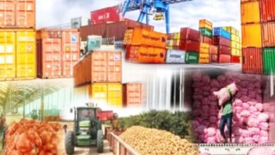 Economic Diversification: Nigeria’s Non-Oil Export Hits $1.79 Billion in Q1 2025