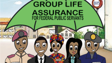 FG approves Group Life Assurance for Govt workers, paramilitary, others