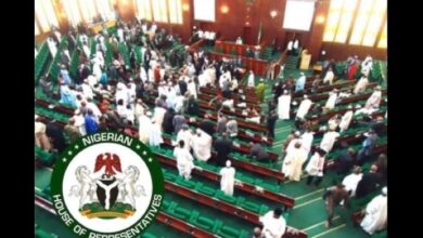Reps to probe CBN’s N200bn loan to DISCOs under NMMP over disbursement, repayment and meter targets