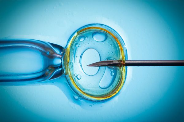 Inside Nigeria’s growing fertility market: Students trade eggs, sperm for cash