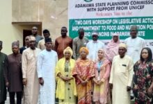 400,000 Adamawa children require nutrition treatment - UNICEF