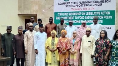 400,000 Adamawa children require nutrition treatment - UNICEF