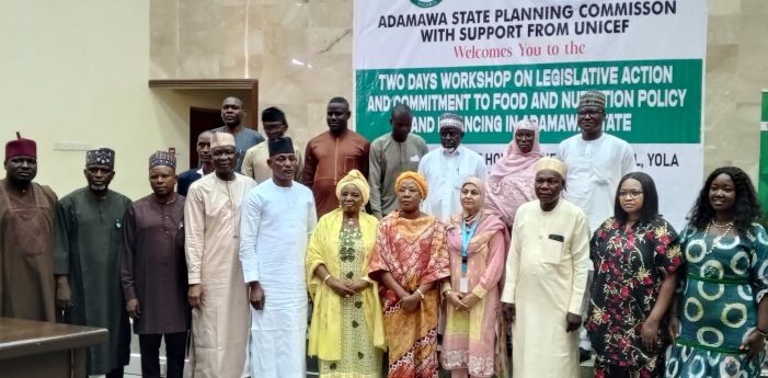 400,000 Adamawa children require nutrition treatment - UNICEF