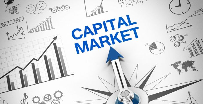 SEC launches Tech Adoption Survey as Nigeria’s Capital Market faces a Digital Inflection Point