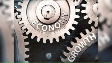 Beyond Borrowing: Experts Urge FG to Channel Subsidy Gains into Sustainable Economic Solutions