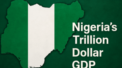 Nigeria’s Trillion Dollar GDP Dream Faces Major Test Without Policy Consistency, NGX Chairman Warns