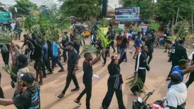 Benue Carnage and the Tinubu Paradox: A Nation Bleeds, Power Responds - Too Late, Too Light