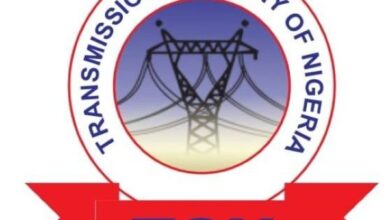 NESI: TCN Flags N457bn Debt Overhang in Power Sector, Warns of Fragile Value Chain