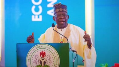 $1 Trillion Ambition Needs Insurance Backbone - NCRIB Tells Tinubu