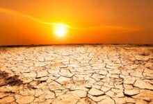 Global Drought Crisis Deepens: UN Warns of 'Silent Catastrophe' as Millions Face Hunger and Energy Collapse