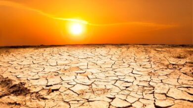 Global Drought Crisis Deepens: UN Warns of 'Silent Catastrophe' as Millions Face Hunger and Energy Collapse