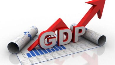 Nigeria’s Economy Rebounds as GDP Grows 3.13% in Q1 2025, Backed by Services, Industry and Real Estate Sectors - NBS