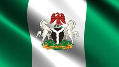 Nigeria Moves Swiftly to Rescue Stranded Citizens in Central African Republic