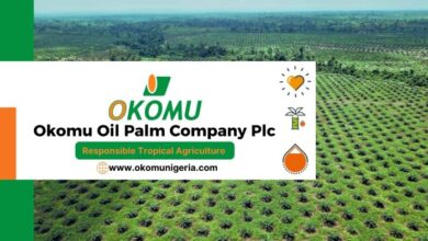 Okomu Oil Declares ₦30 Interim Dividend as H1 Profit Surges 135%