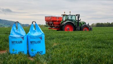 Farmers groan as Fertiliser Costs Keep Rising