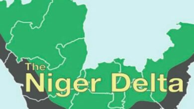 Tinubu Tasks NDDC on People-Centered Projects to Transform Niger Delta