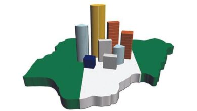 What does 'The Economy is Stable' mean? - Yemi Kale