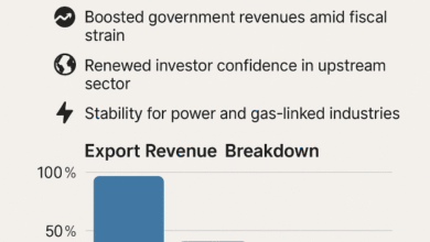Nigeria Nears Full Oil Production as Security Gains Stabilise Niger Delta - NNPCL