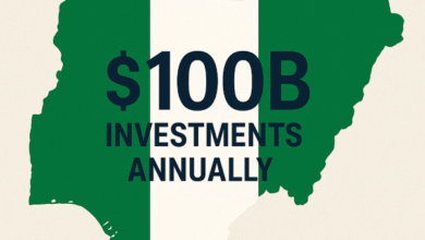 Nigeria needs $100bn Investments Annually to Hit Middle-Income by 2050 - FG