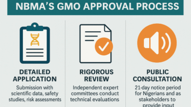Food Sovereignty at Stake: Why NBMA Is Cracking Down on GMO Imports
